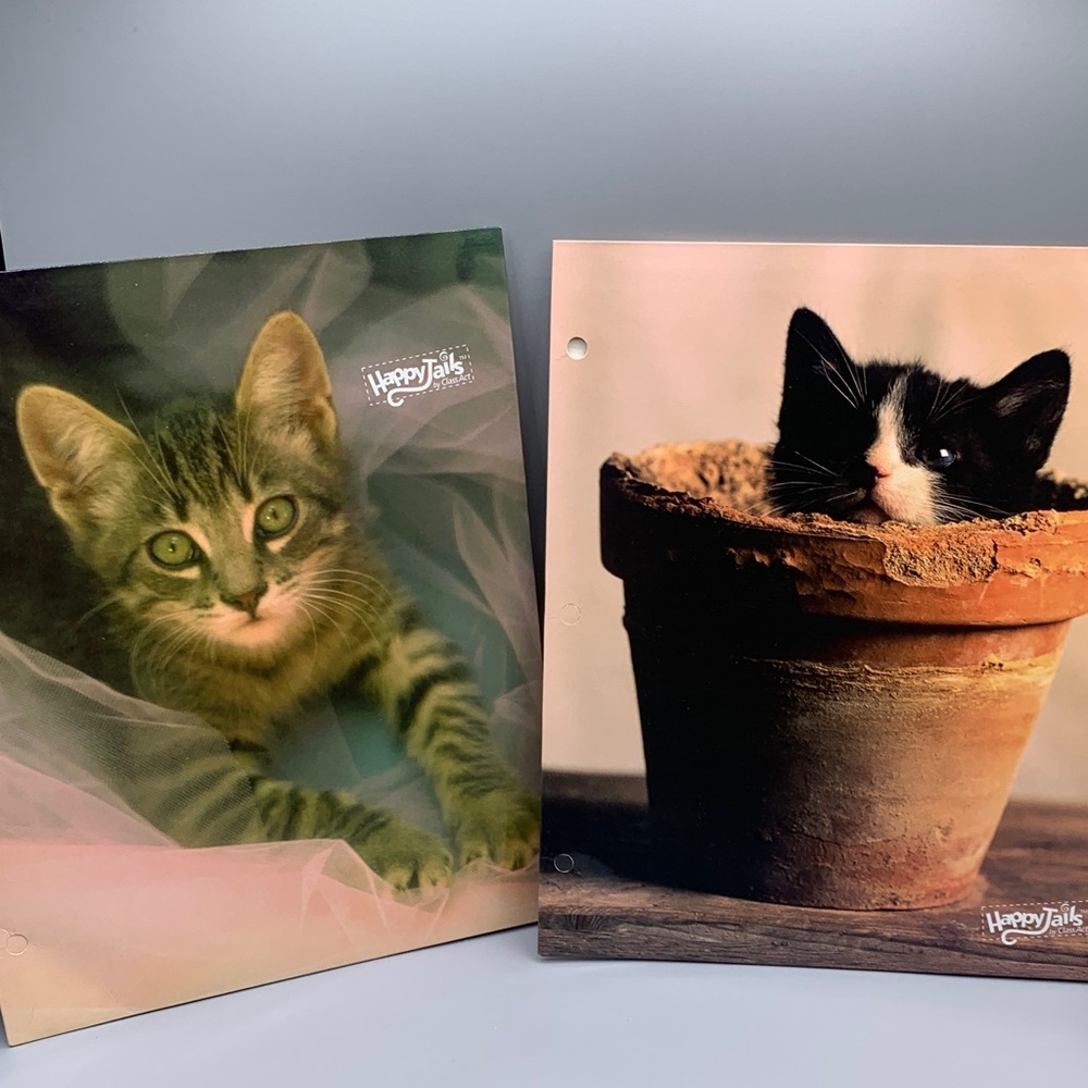 Vintage Happy Tails by Class Act 2005 3 Ring Binder Folder Cat in Pot